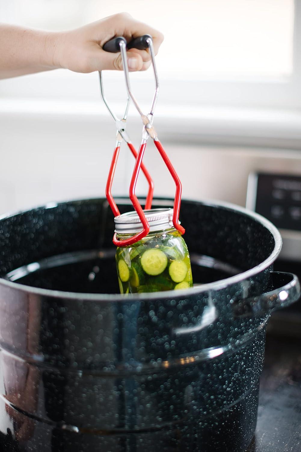 image:imageMrs Wages Medium Spicy Pickles Quick Process Mix Quick and Easy SimpleToUse Flavorful Spice Easy Way to Make Pickles Great Snack 65 oz Packet Value Pack of 12Horseradish Roasted Garlic